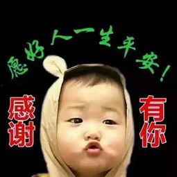 中老年表情包感谢